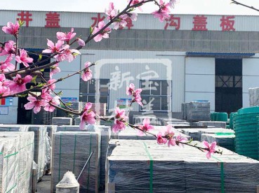 花滿枝頭，春意盎然